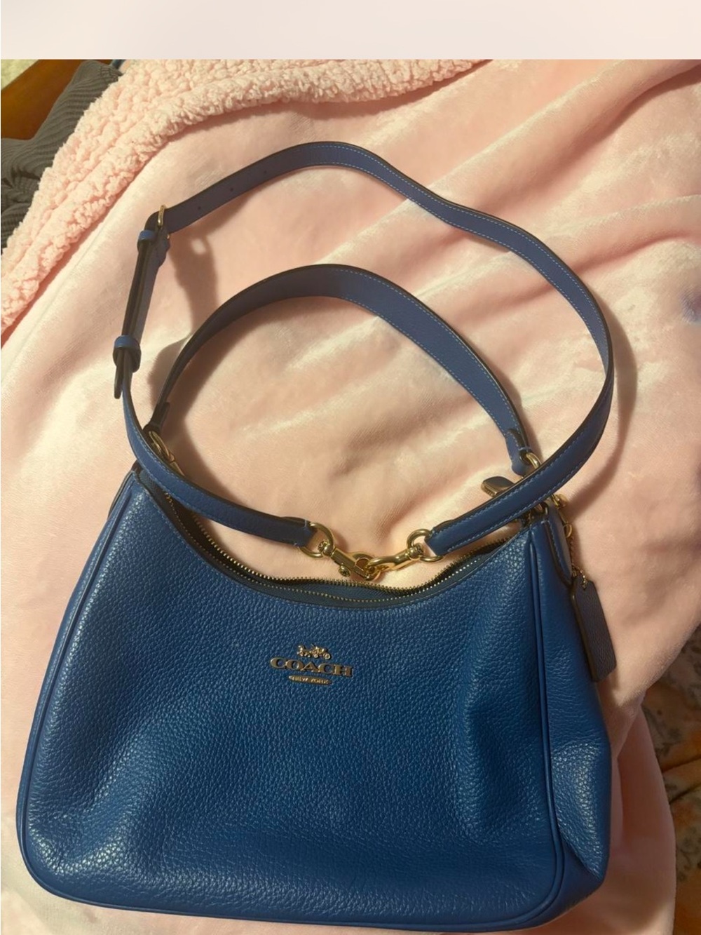 Coach Teri hobo